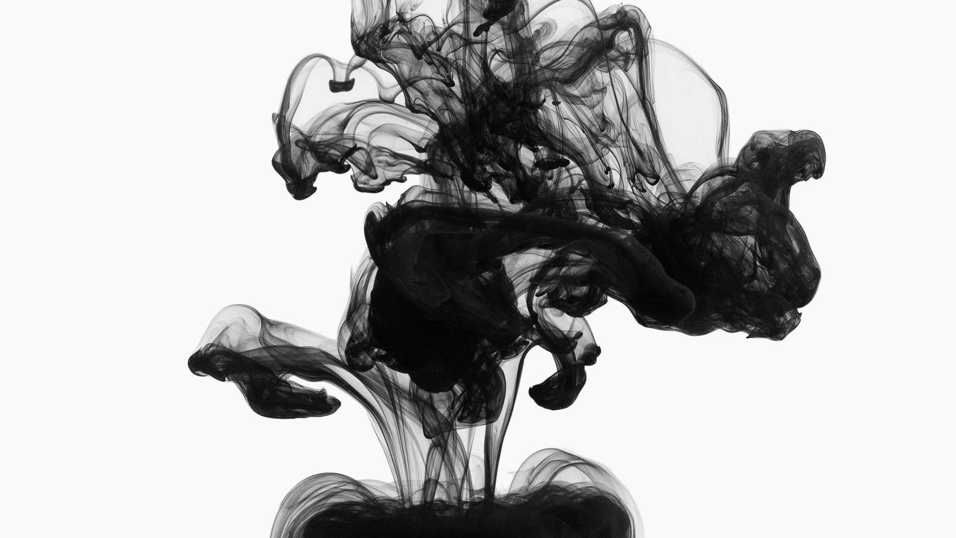 Acrylic black ink in water, isolated on white