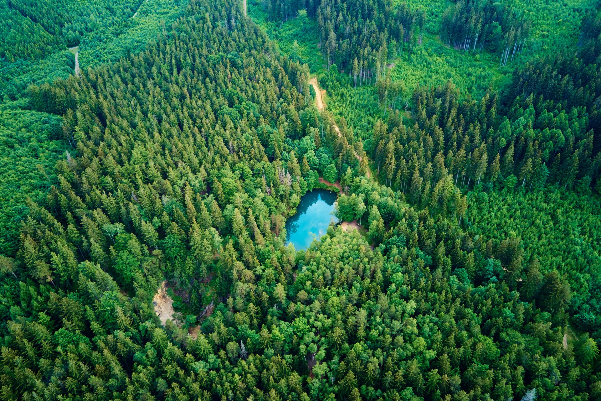 Blauer See mitten im grünen Wald, Luftbild. Wilder bunter See im Bergpark in Polen. Schöne Naturlandschaft