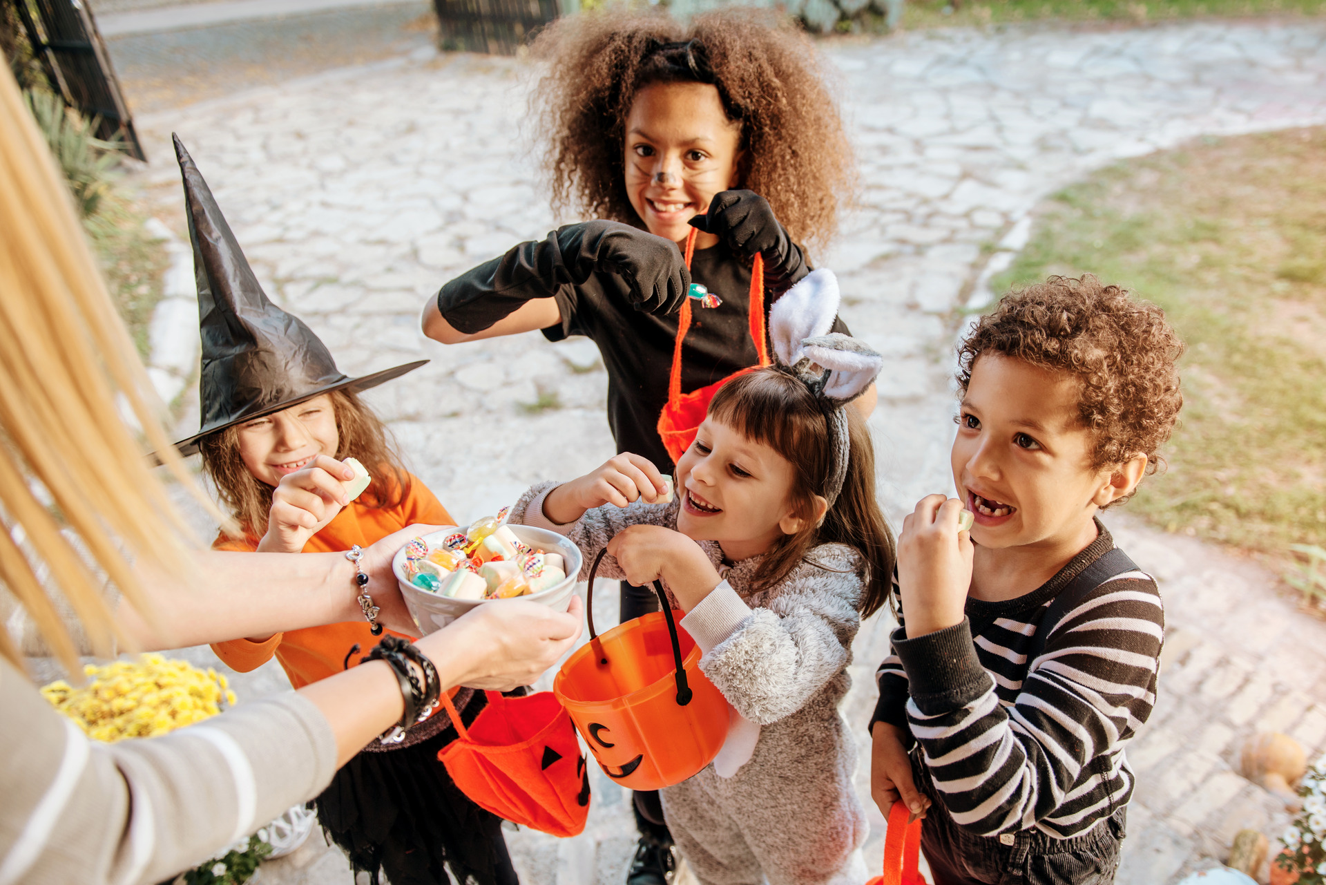 Tricks or treat! Halloween is the perfect time for candies.