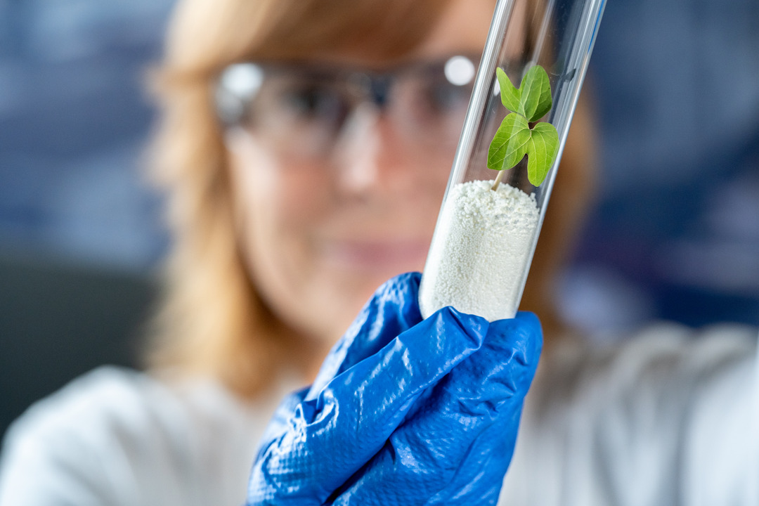 Scopeblue Lewatit keyvisual - Employee with Lewatit in test tube on which a plant is growing
