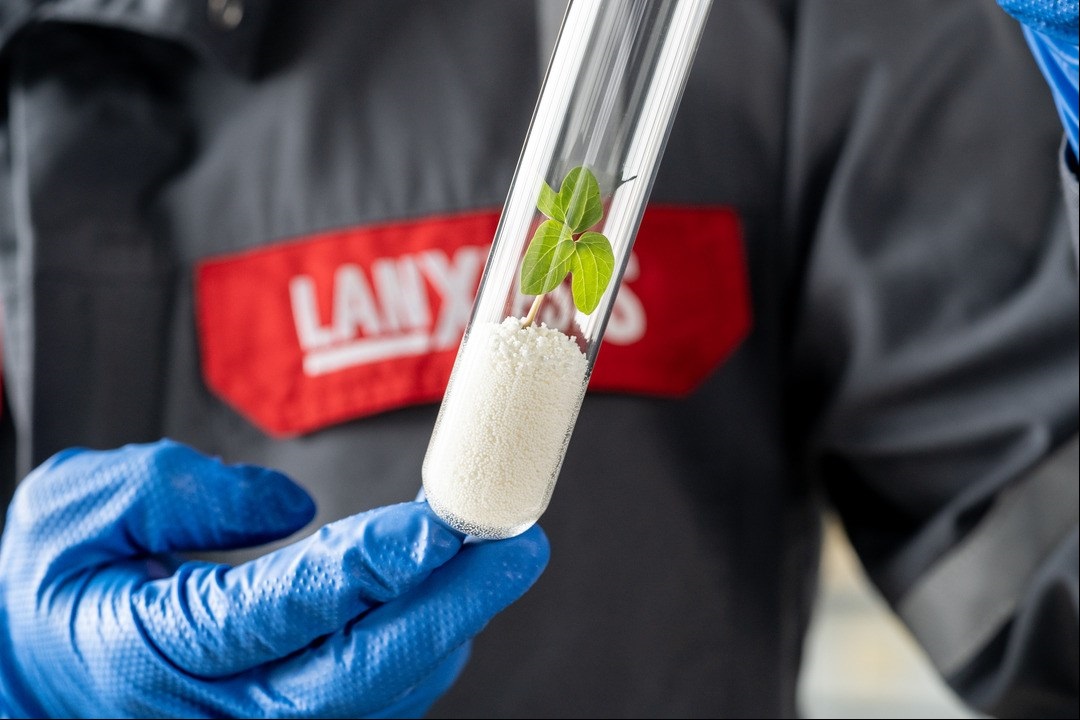 Scopeblue Lewatit Keyvisual - Lewatit im Reagenzglas auf dem eine Pflanze wächst