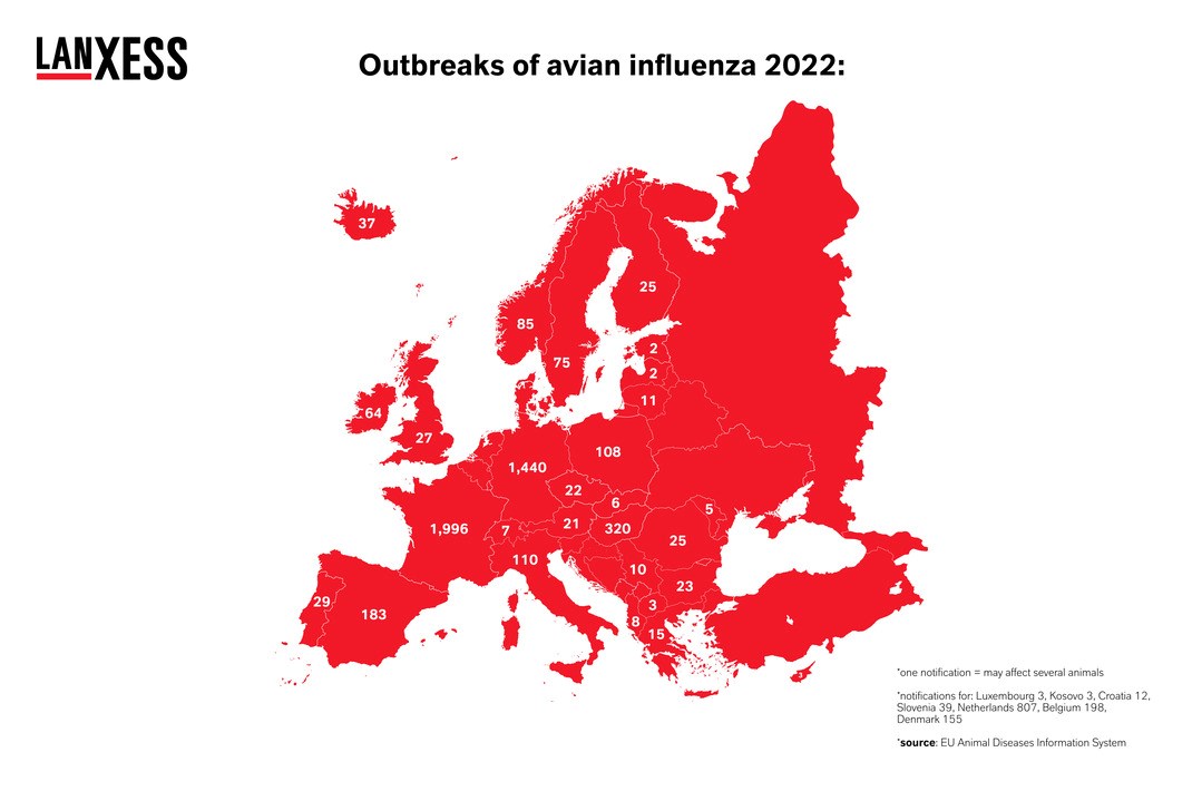 Avian influenza outbreaks in 2022 in Europe