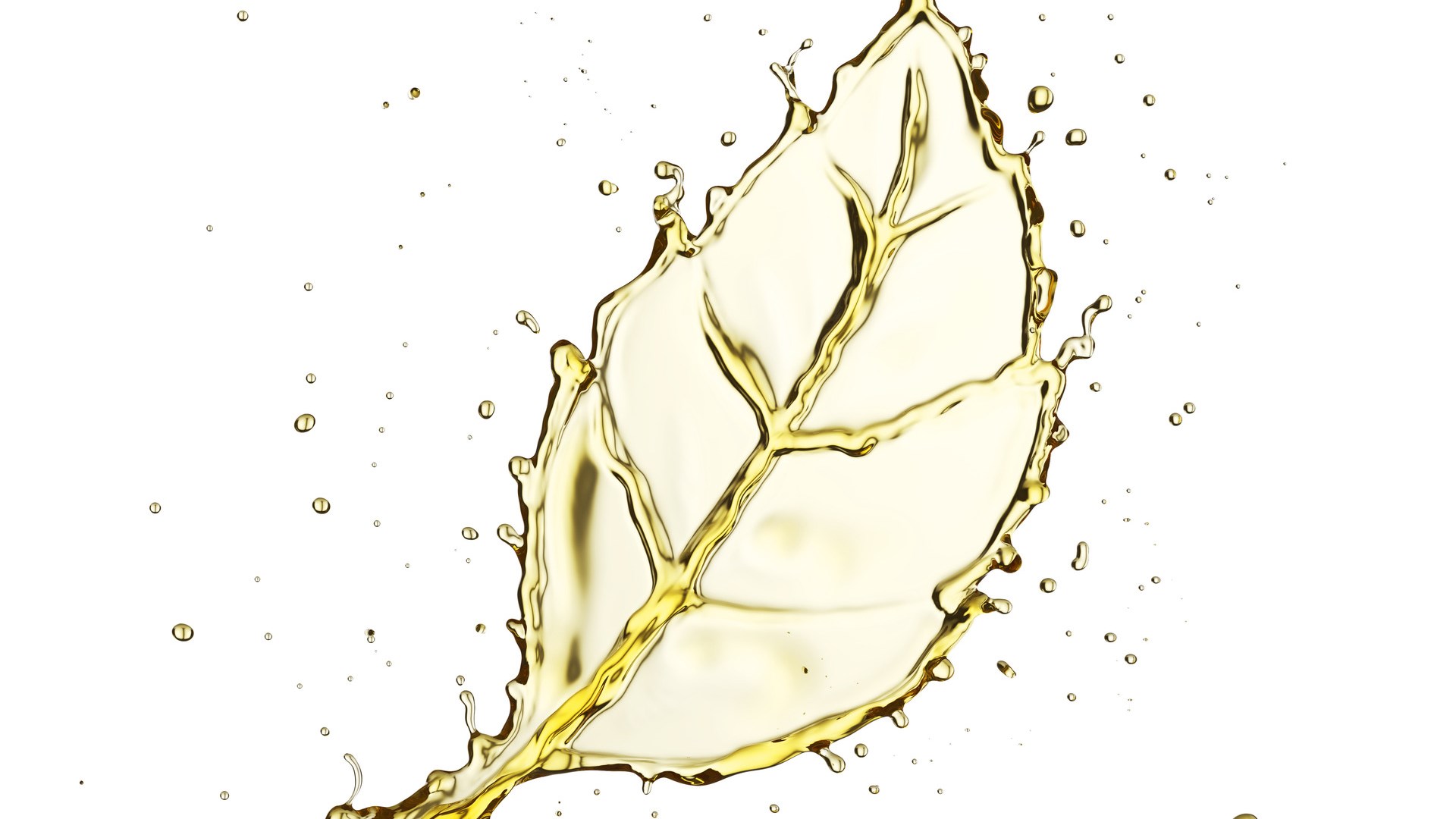 Olive or engine oil splash in Leaves Shape,3d rendering with Clipping path.