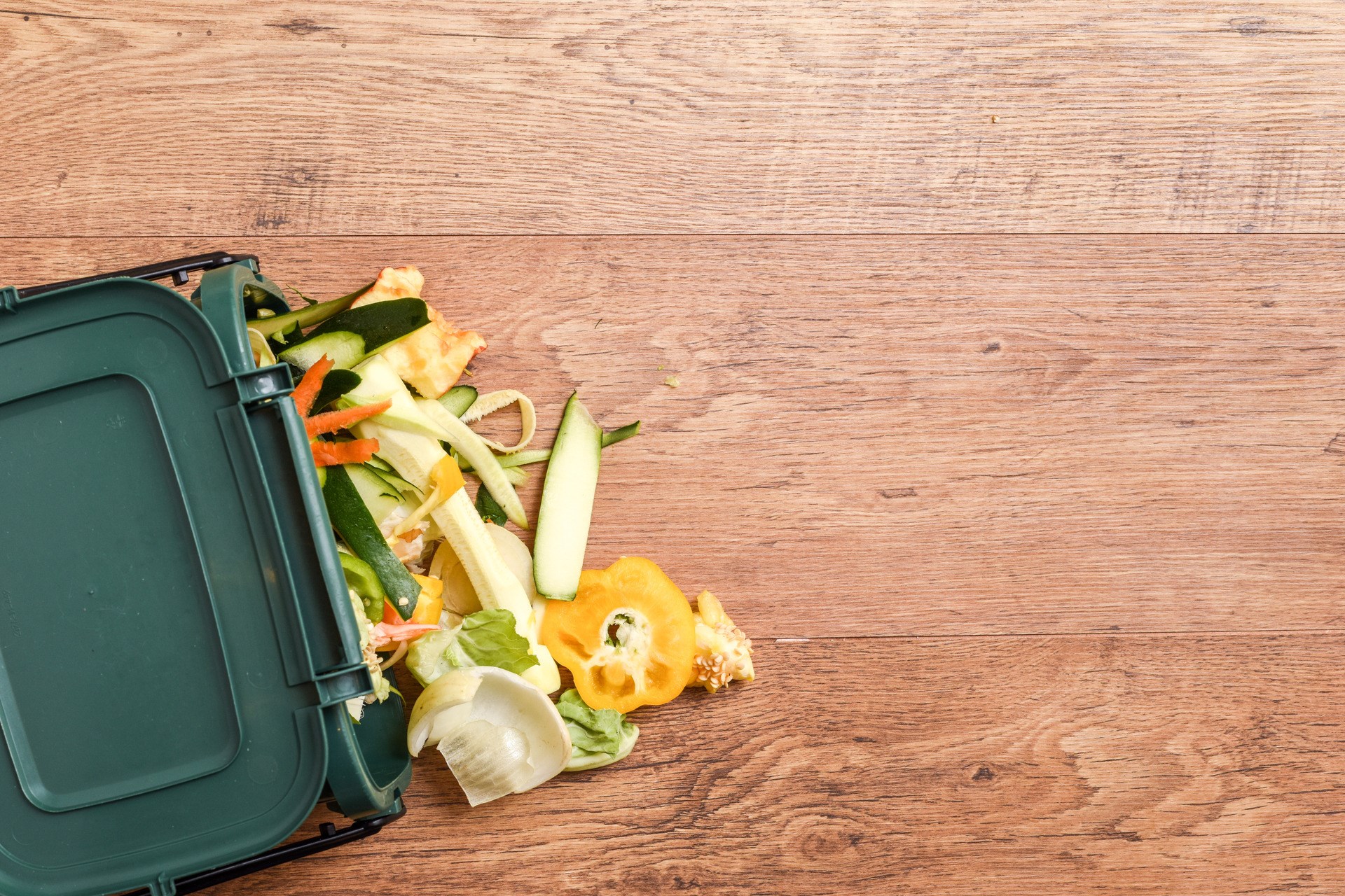 Lebensmittelabfälle aus der häuslichen Küche Verantwortungsbewusste Entsorgung von Lebensmittelabfällen aus dem Haushalt auf umweltfreundliche Weise durch Recycling in der häuslichen Komposttonne