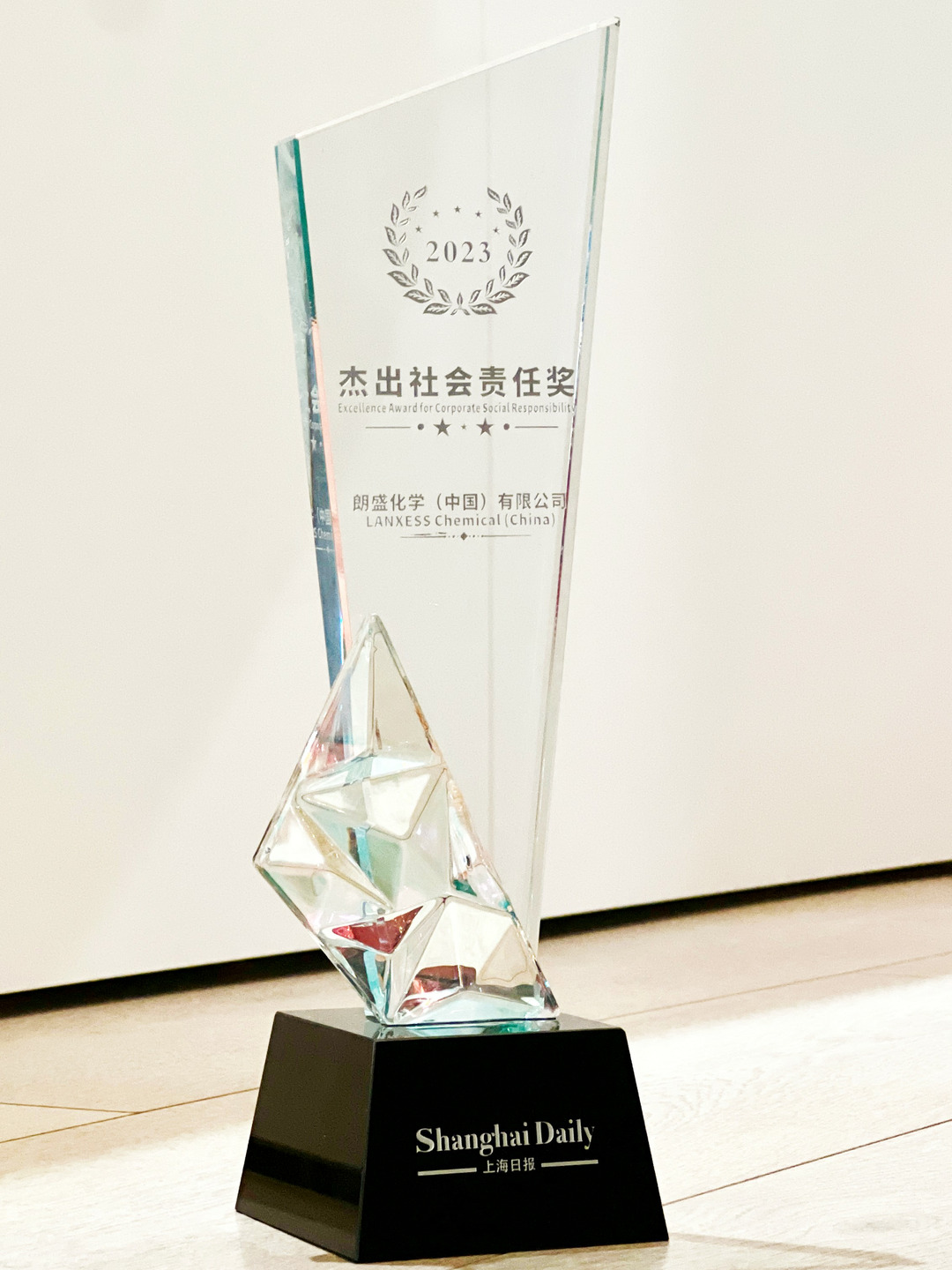 Social Responsibility Excellence Award in 2024