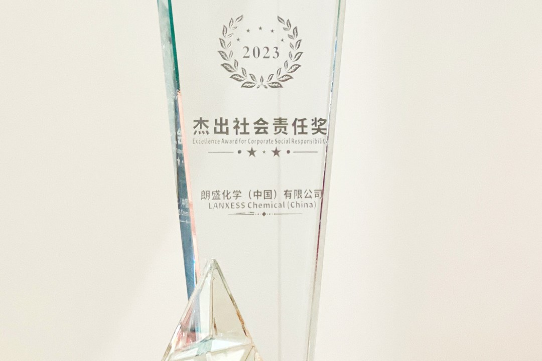 Social Responsibility Excellence Award in 2024