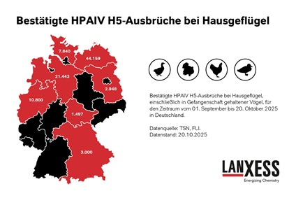 Vogelgrippe-Fälle in Deutschland nach Bundesland